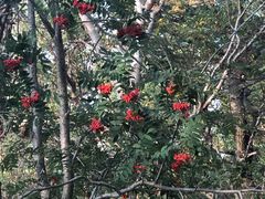 -白草畔自然风景区