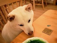 -柴の食堂·日式家庭料理·熊之肆(大学路店)