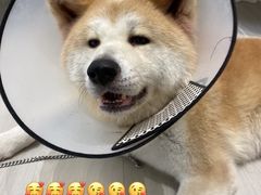-YCHL Studios健身工作室(市二宫店)