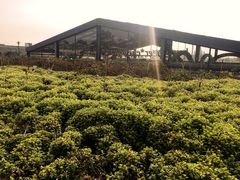 -莫子山公园