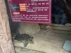 -南昌动物园
