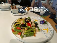 -点都德·毕德寮