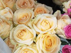 -何兮花店·气球派对鲜花店(马桥银春路万科城店)