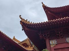 -深圳仙湖植物园