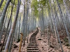 -午潮山国家森林公园
