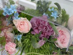 -花到家(富贵鸟花艺行)