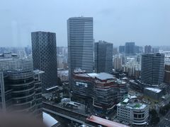 -上海龙之梦万丽酒店