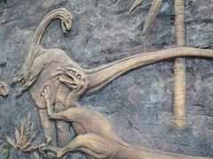 -吉林省自然博物馆