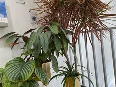 -隹木咖啡馆(宝龙广场店)