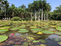 -中国科学院西双版纳热带植物园