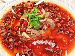 -新梅华餐厅(星悦汇店)