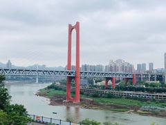 -老家猪肝面(石油路店)
