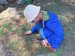 -南京市无想山景区