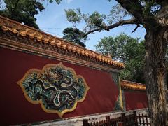 -北陵公园
