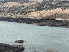 -坛南湾阿强农家乐.海鲜大排档老字号(福州地标美食店)