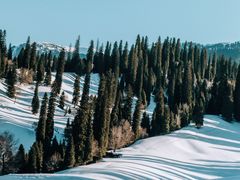 -新疆那拉提国家旅游度假区