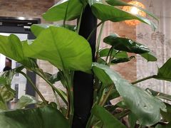 -首都图书馆-咖啡厅