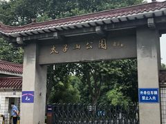 -太子山公园(园东路)