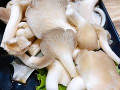 平菇-销魂美蛙鱼头火锅(上海首店)