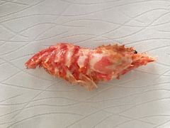 -马克西姆俄罗斯餐厅(通亚街店)