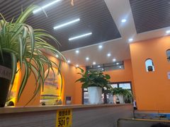 -马旭土鸡焖花卷·真域顺西域美食(天马大道店)