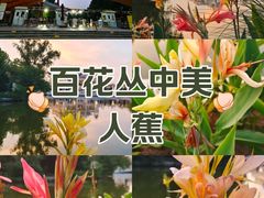 -朝阳公园