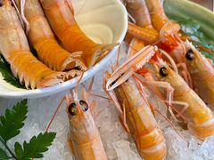 -Mr.Fish鱼鲜生海鲜放题(高德置地冬广场店)