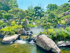 -罗红摄影艺术馆