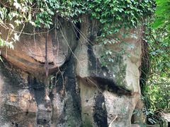 -南山植物园