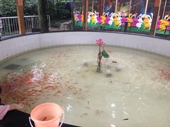 -杭州少年儿童公园