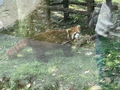 -常州淹城野生动物世界