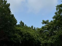 -莫子山公园