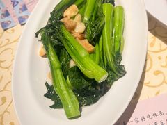 -蝴蝶汇音乐酒馆(罗湖店)