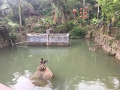 -香山小厨(南联路店)