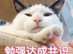 -五道口枣糕王(成府路店)