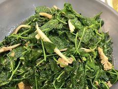 -外滩1288花园丽舍