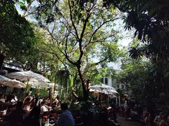 -Fern Forest Cafe