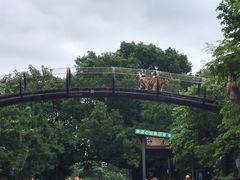 -深圳野生动物园