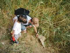 -上海长兴岛郊野公园