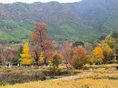 -塔川景区