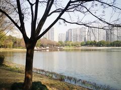 -南翔镇银翔湖公园