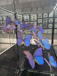 -酷嗒动物文化乐园(cutezoo西溪乐天城店)