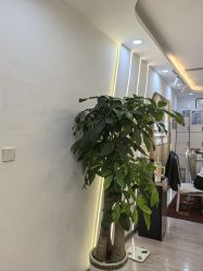 点击看大图 -亚典中科健康汇美容·SPA