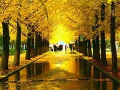 -辽东学院(南校区)