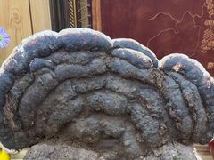 -三锅莊·牦牛肉火锅·香格里拉特色藏餐宴请餐厅(菱角塘路店)