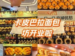 -首开·龙湖成都西宸天街