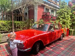 -The Grounds of Alexandria