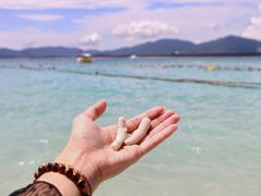 -三亚蜈支洲岛旅游区