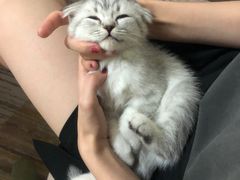 -暖阳宠物医院·犬猫康复中心·骨科