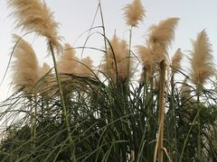 -相门城墙文化休闲景区